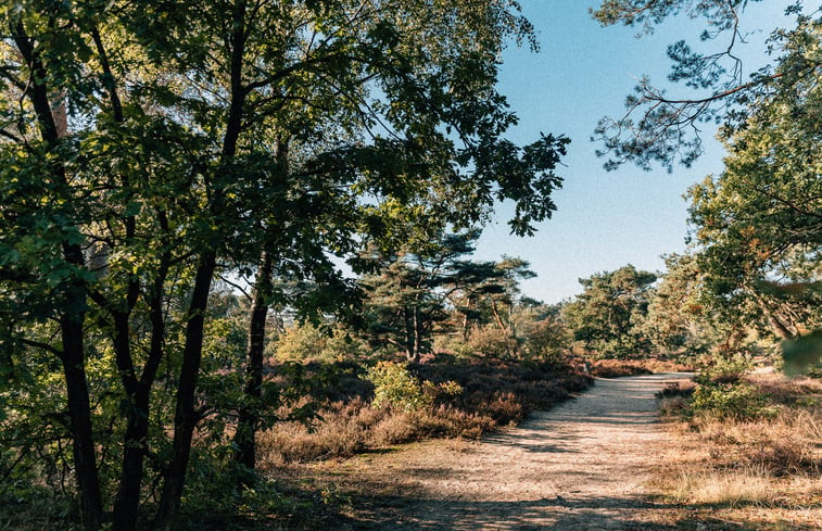 Natuurhuisje in Otterlo