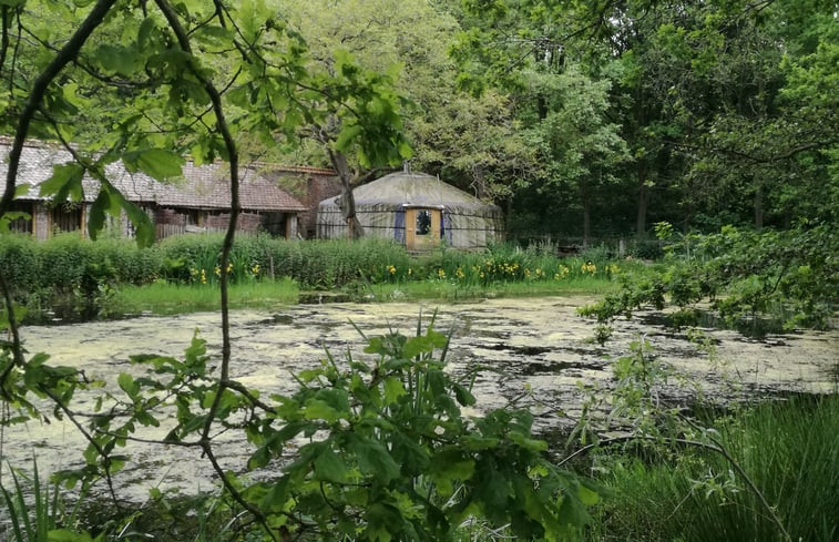 Natuurhuisje in Waardamme