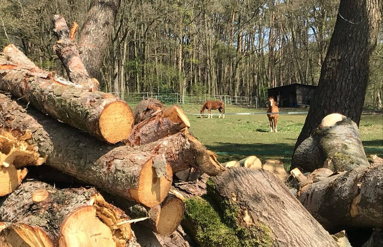 Natuurhuisje in Tessenderlo