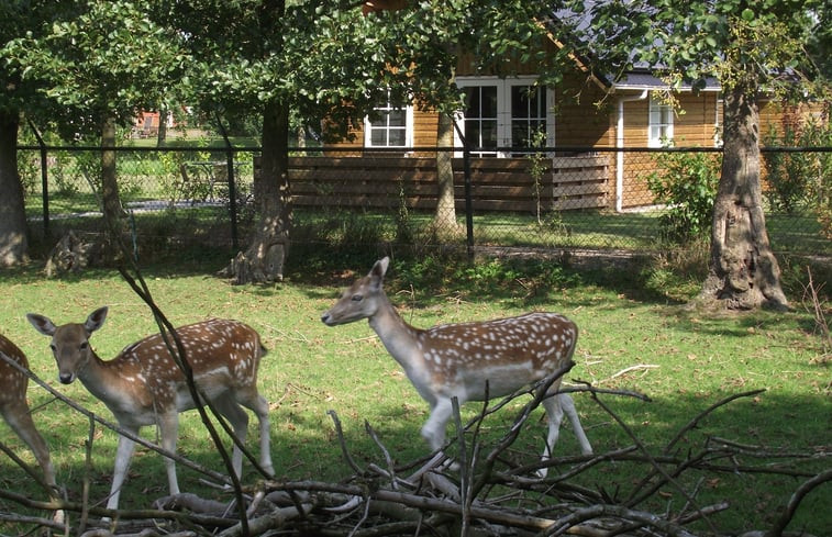 Natuurhuisje in Kollumerzwaag