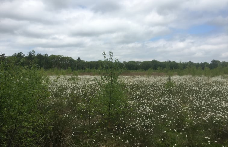 Natuurhuisje in Norg