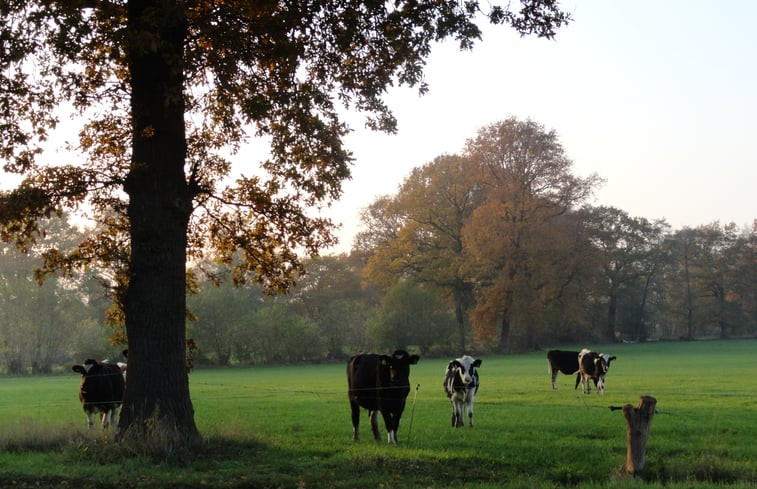 Natuurhuisje in Mander