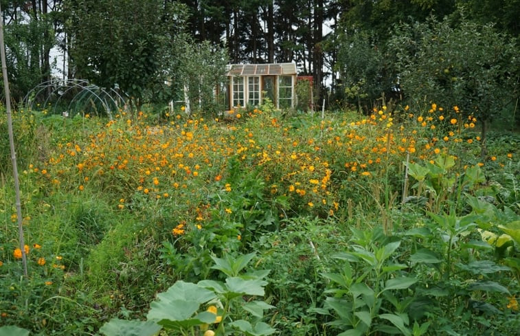 Natuurhuisje in Mazières-Naresse