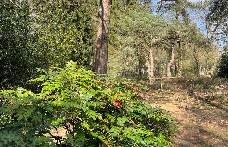 Natuurhuisje in Een