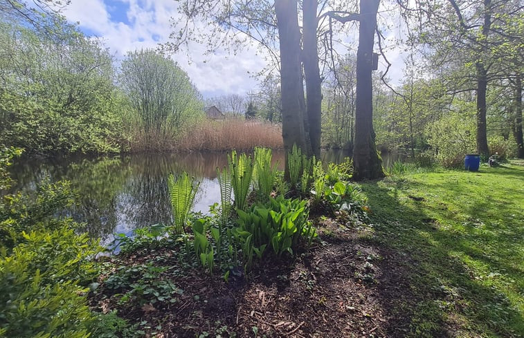 Natuurhuisje in Kollumerzwaag