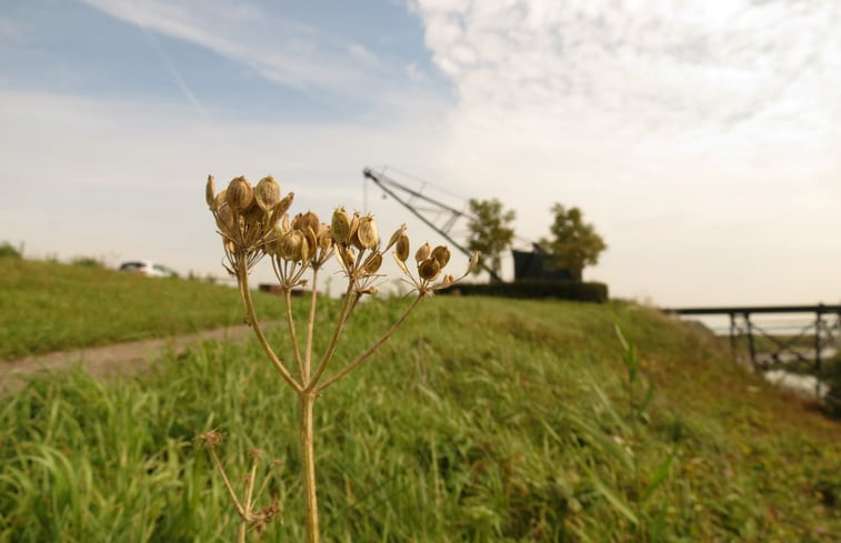 Natuurhuisje in Spijk