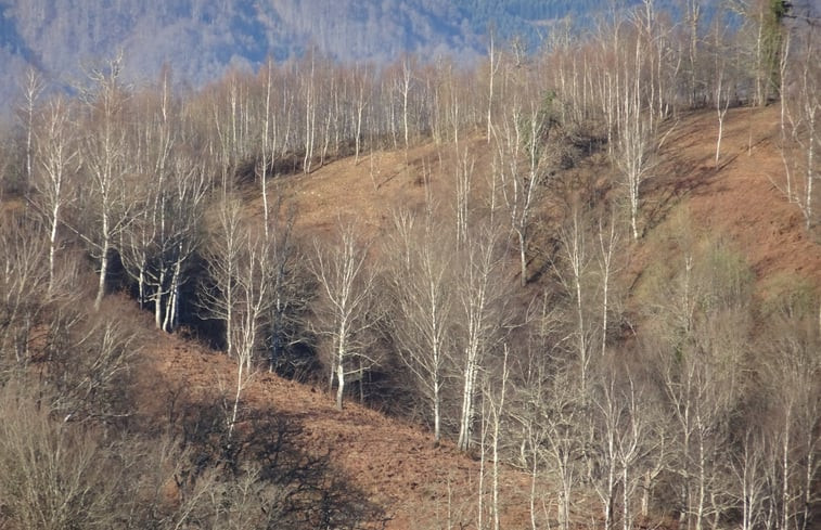 Natuurhuisje in Aleu