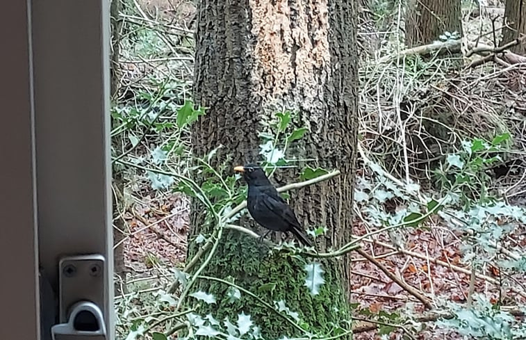 Natuurhuisje in Norg