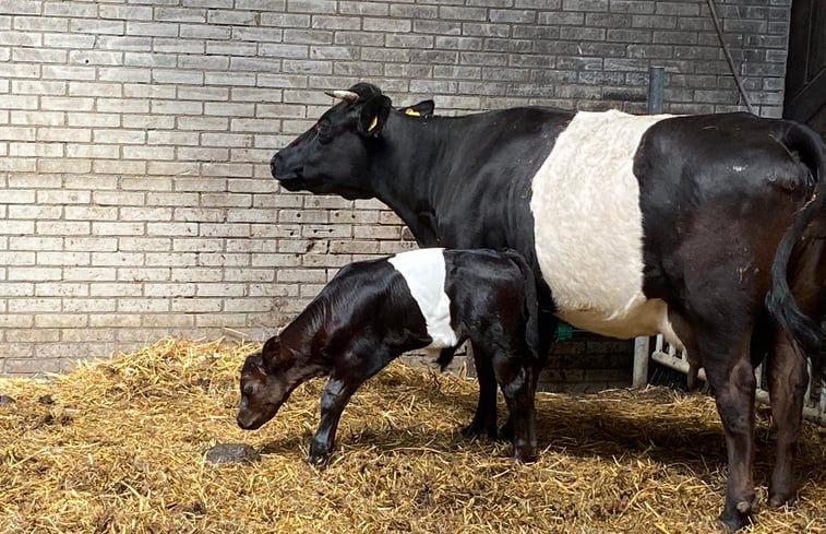 Natuurhuisje in Leimuiden