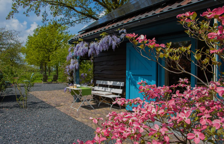 Natuurhuisje in Brummen