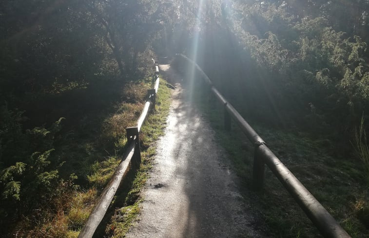 Natuurhuisje in Holten