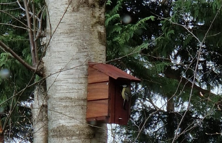 Natuurhuisje in Koekange