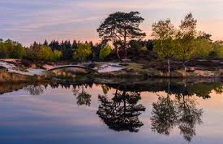 Natuurhuisje in Driebergen-Rijsenburg