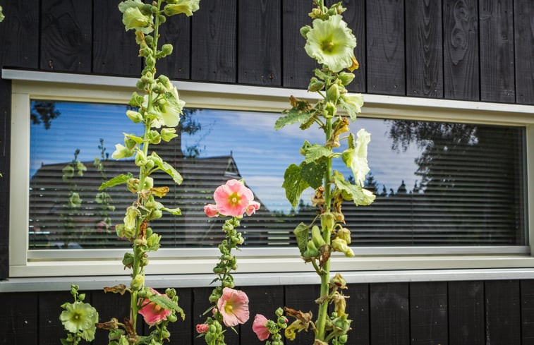 Natuurhuisje in Erm