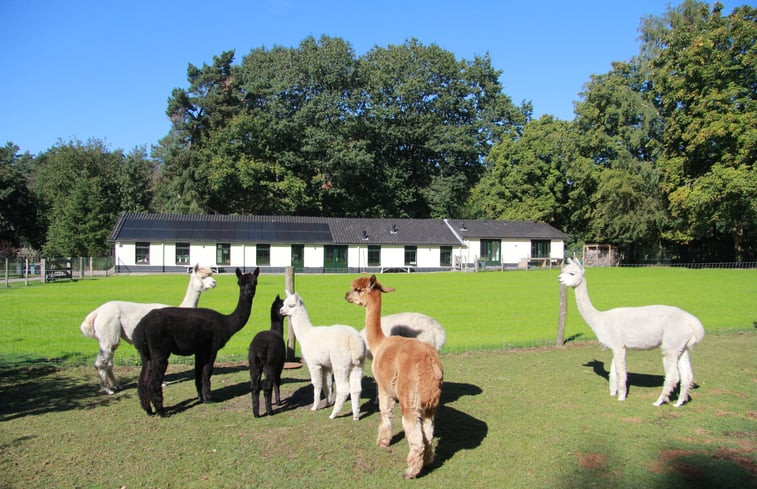 Natuurhuisje in Garderen