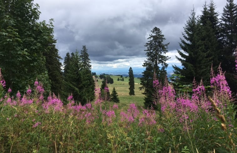 Natuurhuisje in Les Rasses