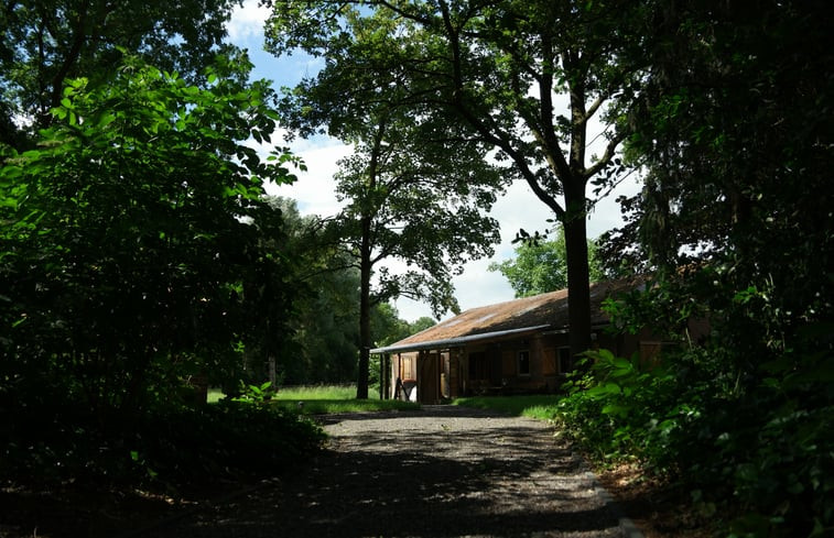 Natuurhuisje in Bellingwolde