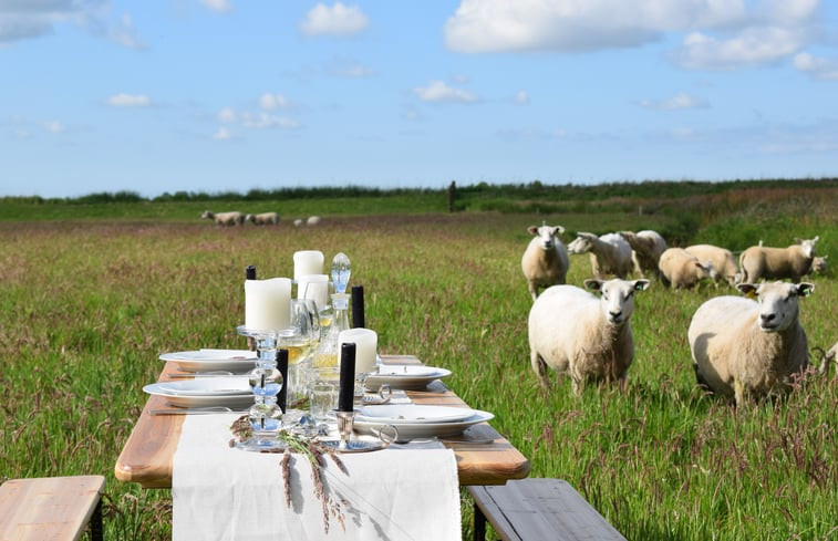 Natuurhuisje in Oudega SWF