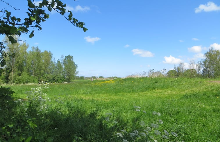 Natuurhuisje in Zoeterwoude