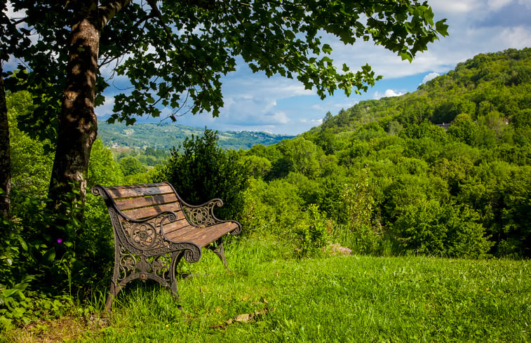 Natuurhuisje in Beaulieu sur Dordogne (Nonards)