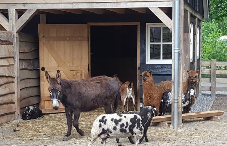 Natuurhuisje in Appelscha