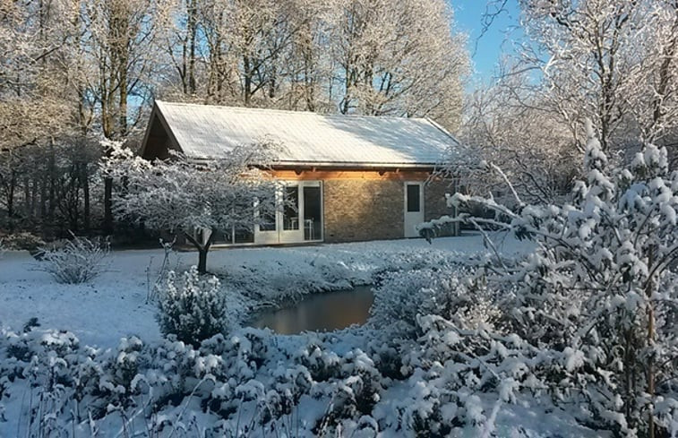 Natuurhuisje in Burgum