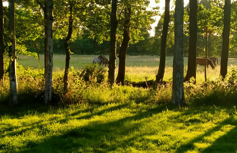 Natuurhuisje in Kollumerzwaag