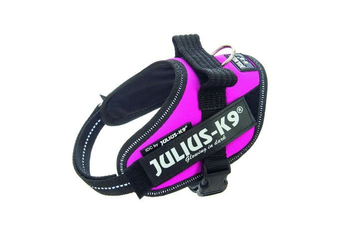 Julius K9 IDC Powertuig Mini Mini Roze