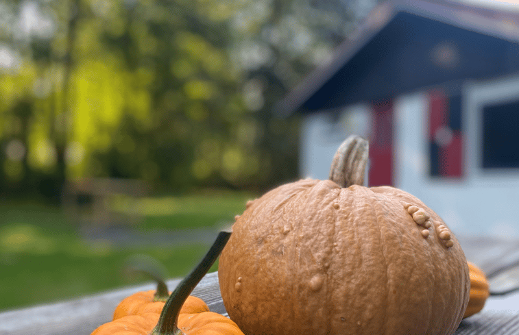 Natuurhuisje in Exloo