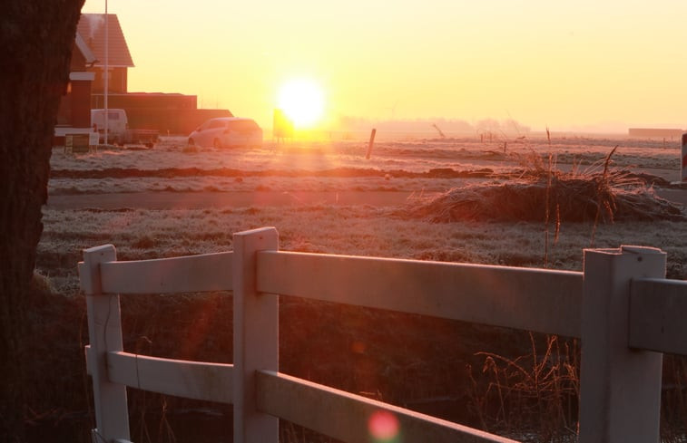 Natuurhuisje in Harlingen