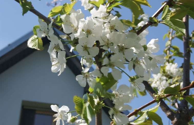 Natuurhuisje in Tuklaty