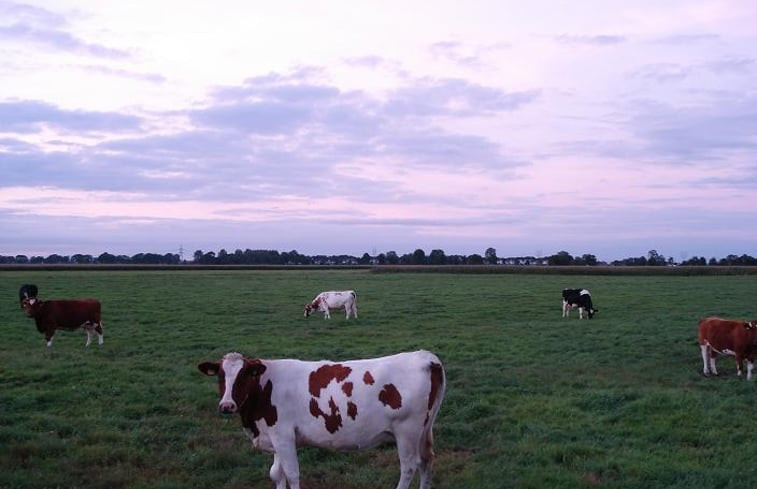 Natuurhuisje in Wezep/Oldebroek