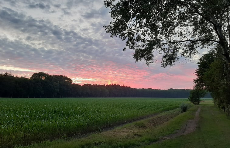 Natuurhuisje in Schoonloo