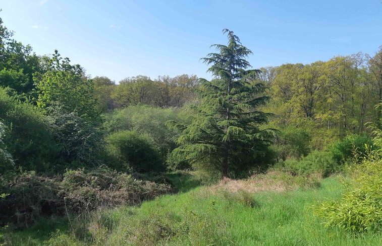 Natuurhuisje in Couleuvre