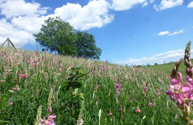 Natuurhuisje in San Severino Marche