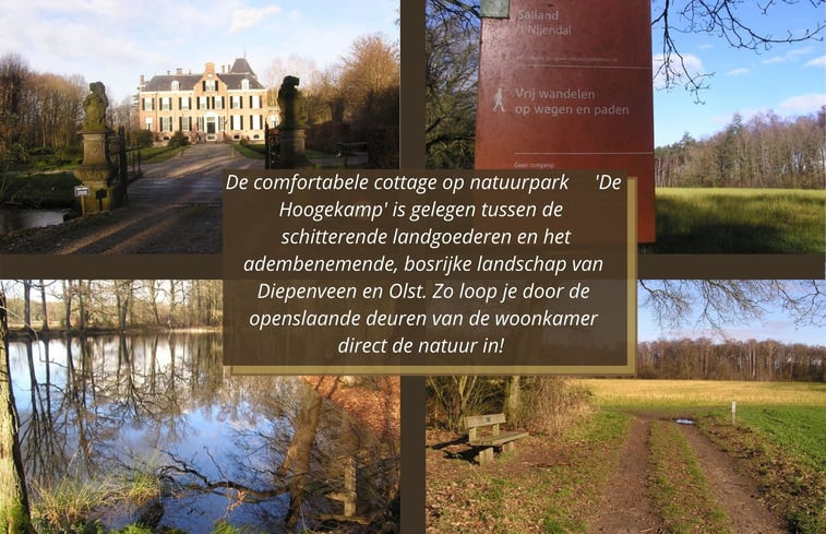 Natuurhuisje in Olst