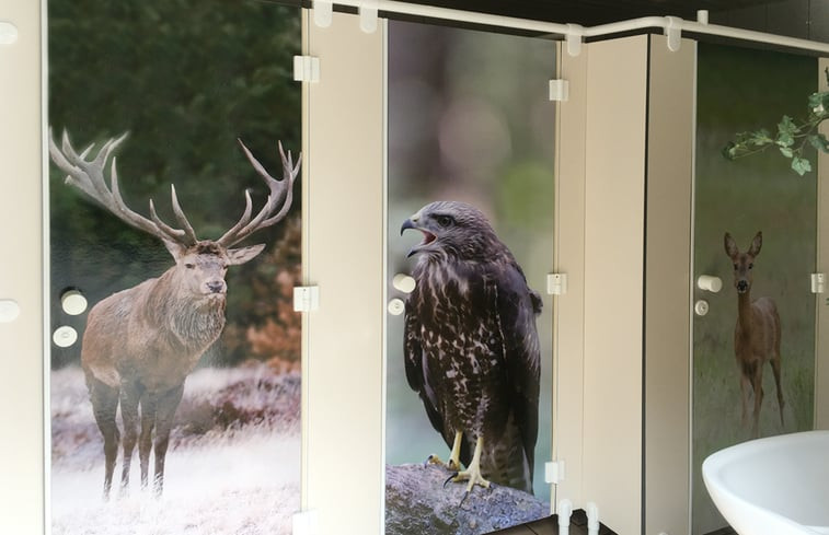 Natuurhuisje in Hoog Soeren