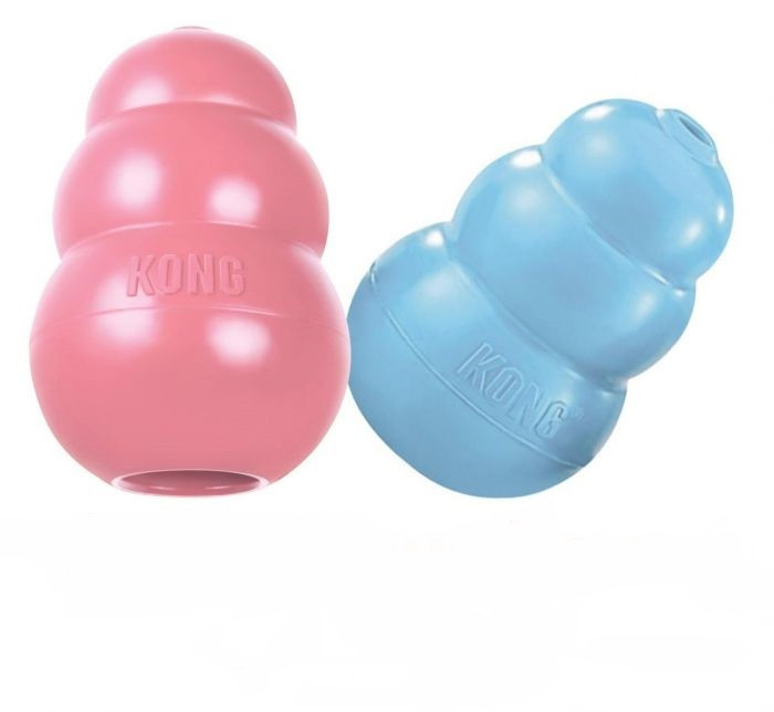 Kong Puppy medium assorti