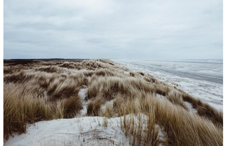 Natuurhuisje in Nes