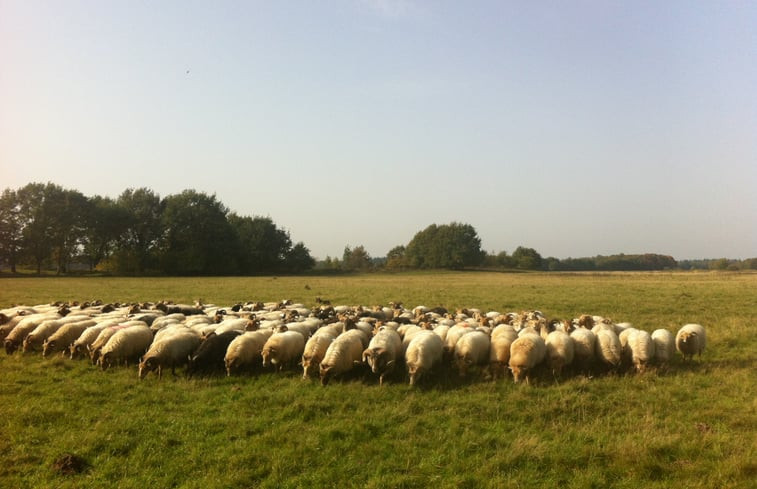 Natuurhuisje in Ellertshaar