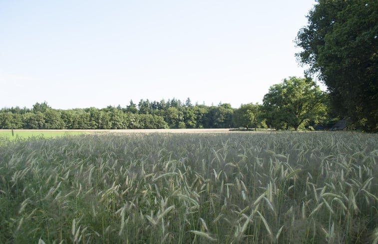 Natuurhuisje in Garderen