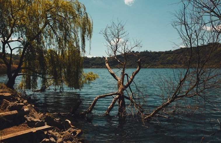 Natuurhuisje in nemi