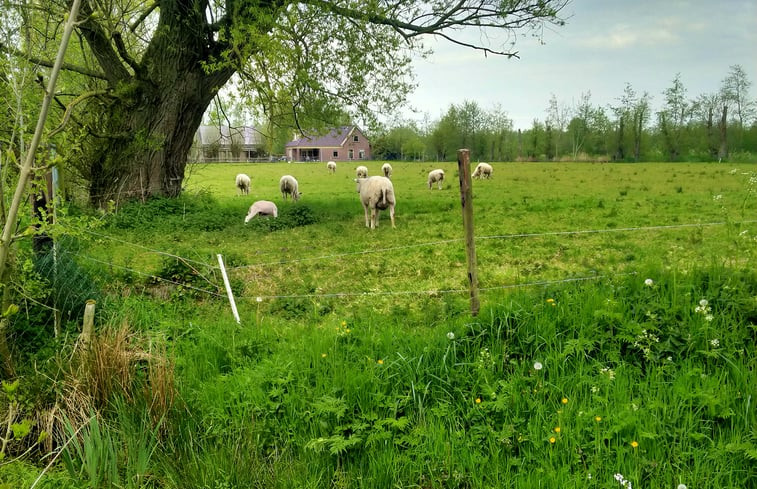 Natuurhuisje in Kollumerzwaag