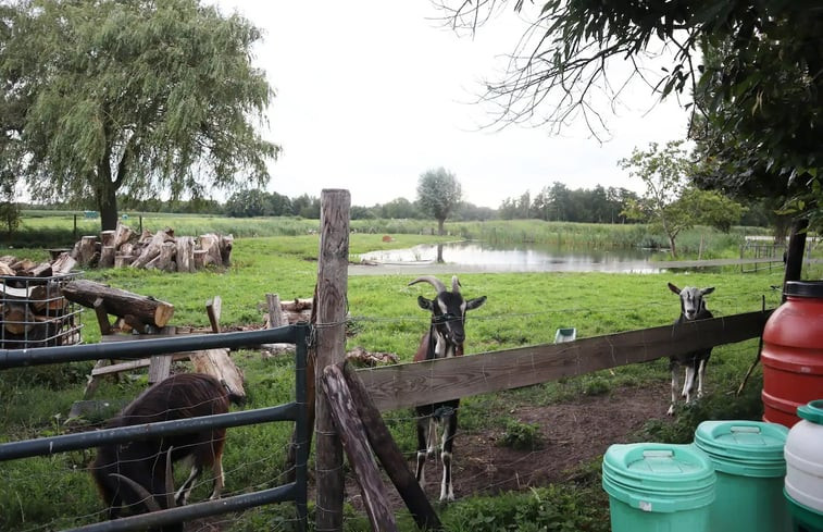 Natuurhuisje in Tienhoven