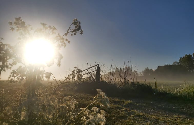 Natuurhuisje in Winsum