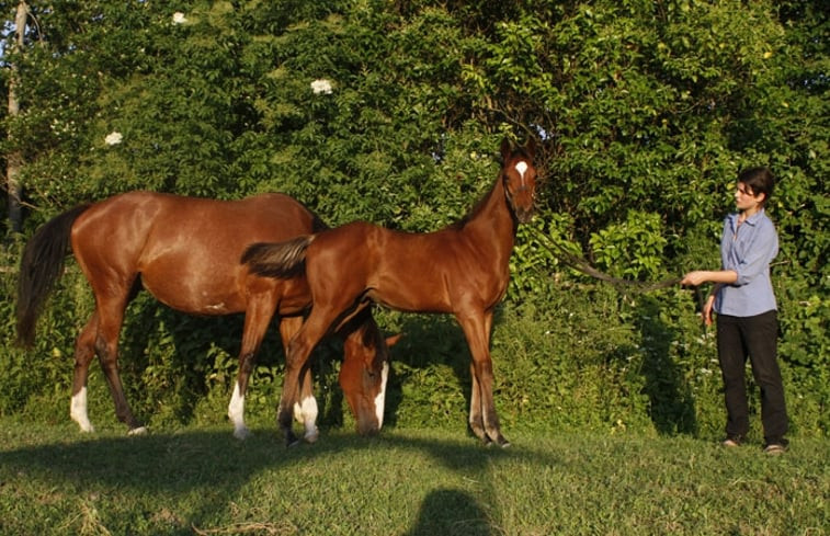 Natuurhuisje in Rapolano Terme