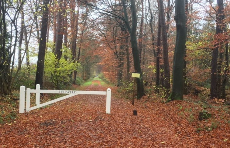 Natuurhuisje in Brummen