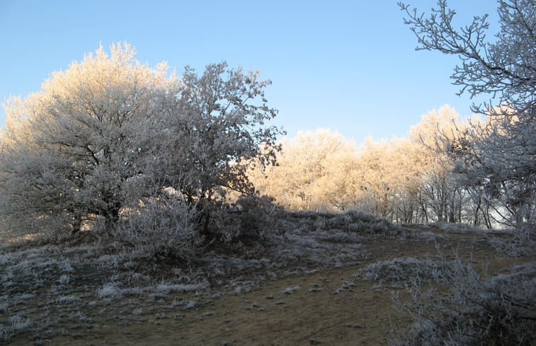 Natuurhuisje in Exloo