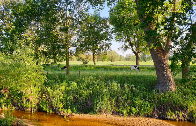 Natuurhuisje in Losser