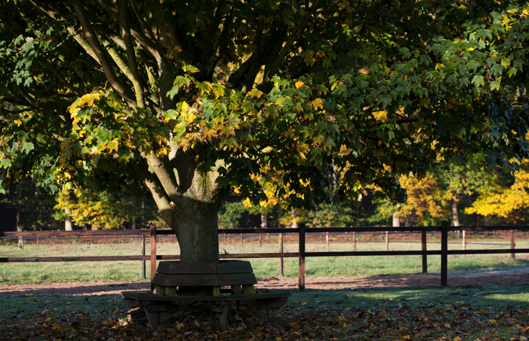 Natuurhuisje in Vaassen